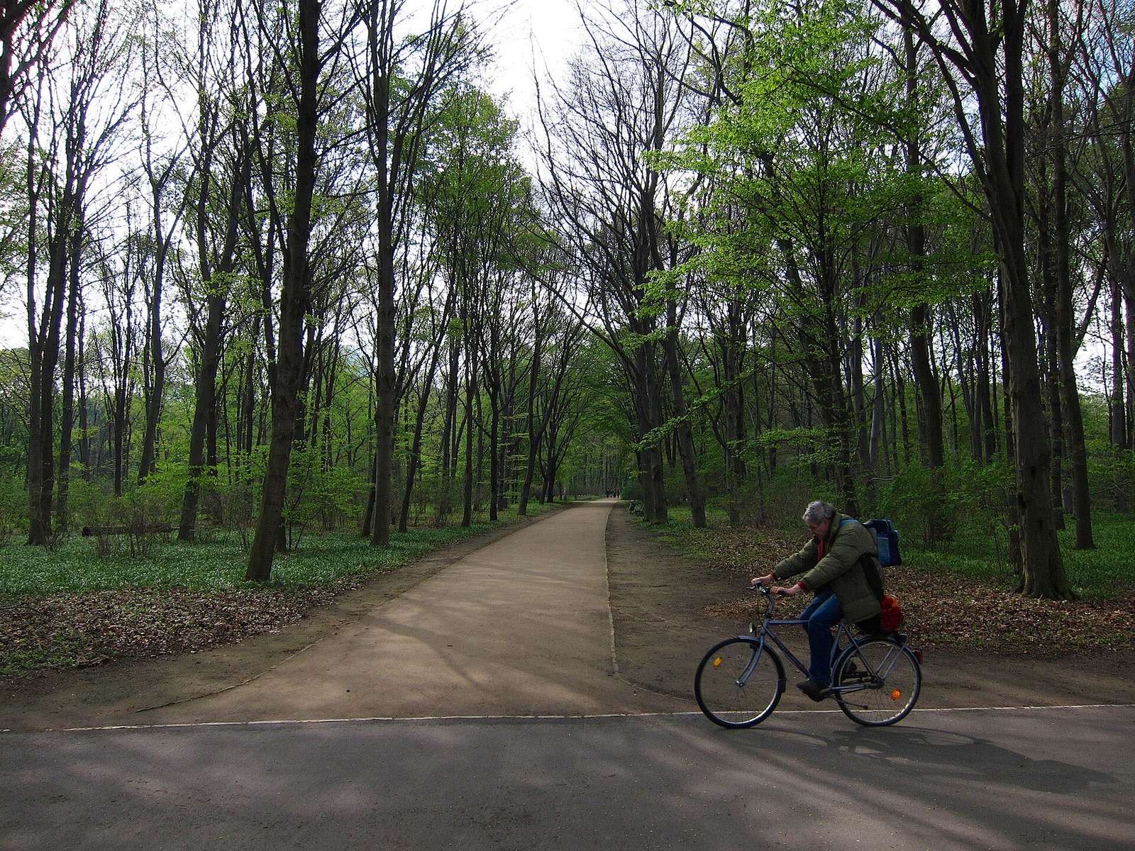 Een fietser op een breed pad tussen hoge, frisgroene bomen in de Tiergarten